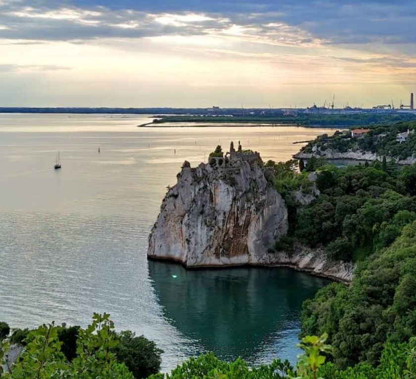 Produttori vino Doc Carso verso logo su bottiglie Zona da difendere da Prosecco e Pinot Grigio