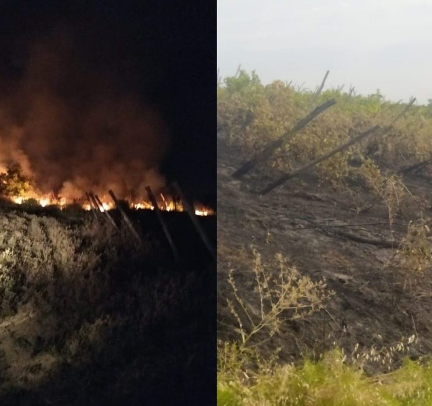Incendi a fuoco un vigneto in Oltrepo pavese paura per il vignaiolo Giorgio Perego