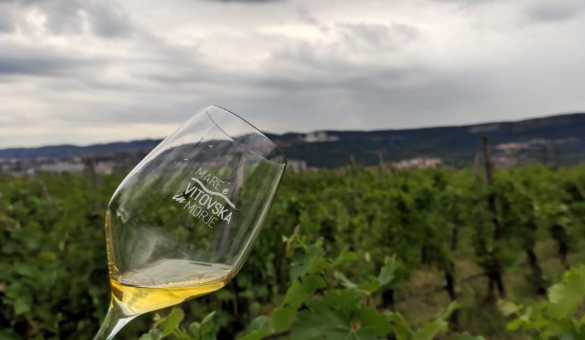 Le migliori Vitovska del Carso e del Kras in scena al Castello di Duino mare e vitovska 2021 1