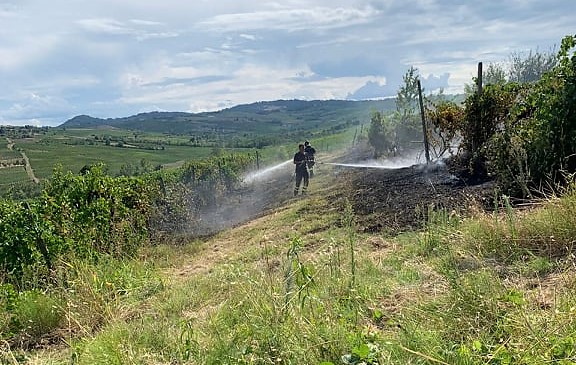Oltrepo pavese fuoco a Rovescala sfiorato il vigneto del vignaiolo Andrea Buscaglia