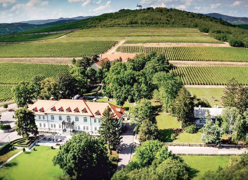 Grof Degenfeld 25 anni a Tokaji un quarto di secolo in cui e cambiato tutto 1