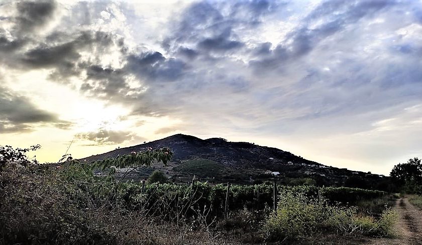 Migliori vini rossi a Campania Stories 2021 i 7 vini campani imperdibili