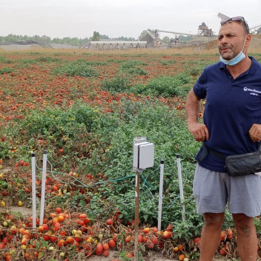 Sostenibilita 40 di acqua per irrigazione dei pomodori grazie alla tecnologia 3
