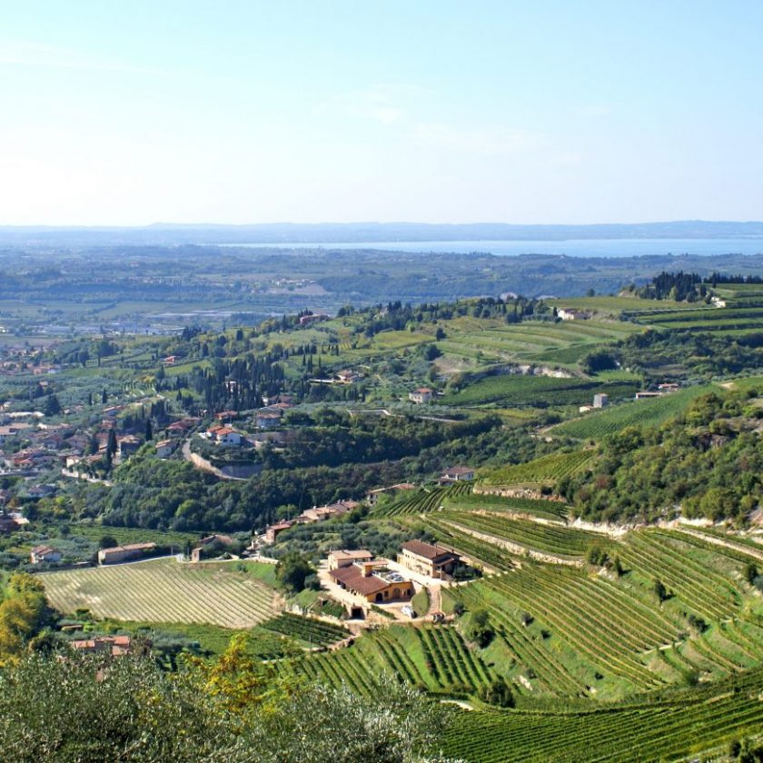 Valpolicella Cortina il Consorzio punta sulla ristorazione di fascia altra