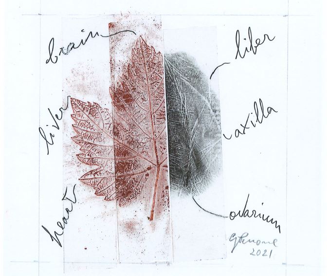 Barolo en Primeur 2021: all'asta 15 barrique di Vigna Gustava Barolo en Primeur 2021: all'asta 15 barrique di Vigna Gustava