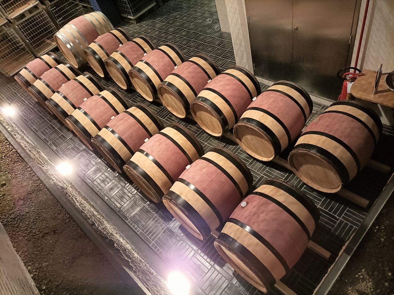 Barolo en Primeur 2021: all'asta 15 barrique di Vigna Gustava Barolo en Primeur 2021: all'asta 15 barrique di Vigna Gustava