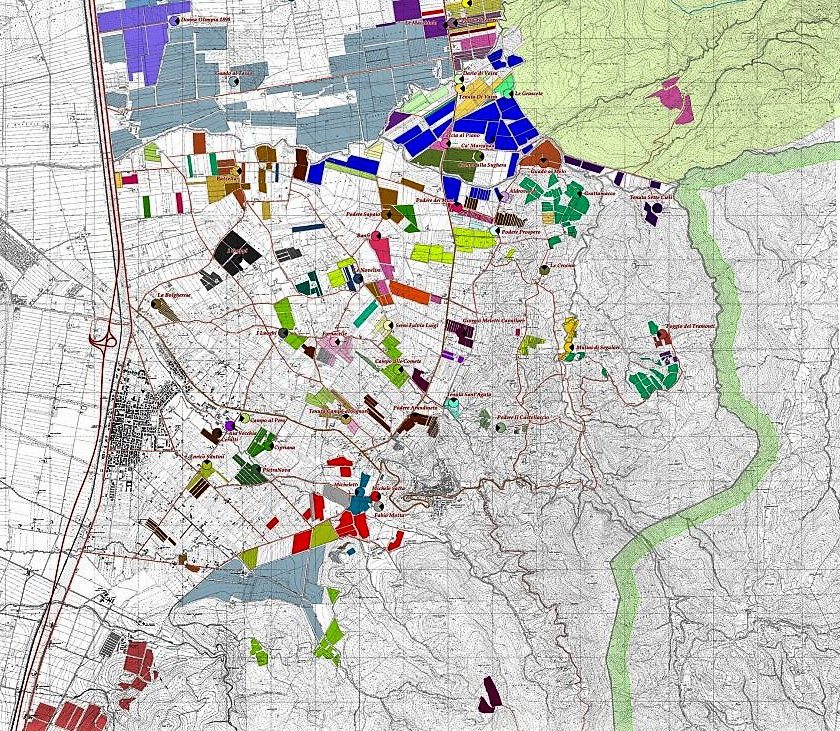 Bolgheri e Sassicaia scaricabile la mappa vigneti 2021