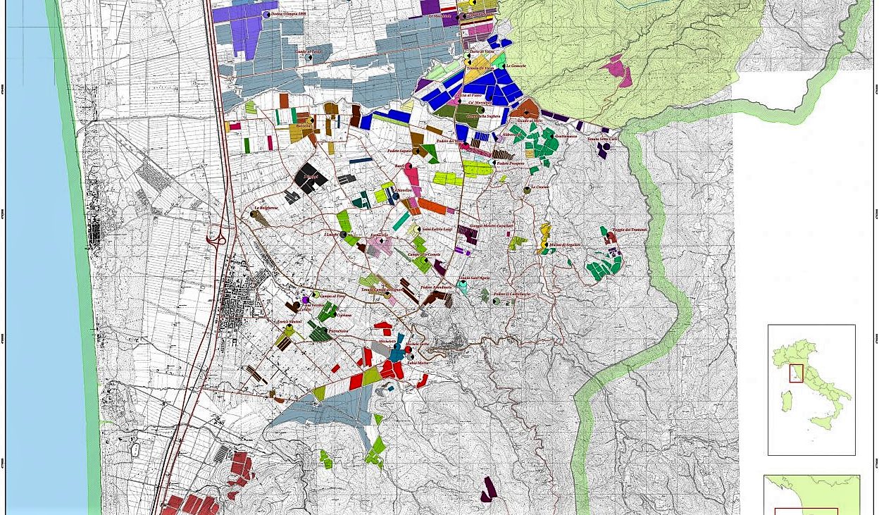 Bolgheri e Sassicaia scaricabile la mappa vigneti 2021