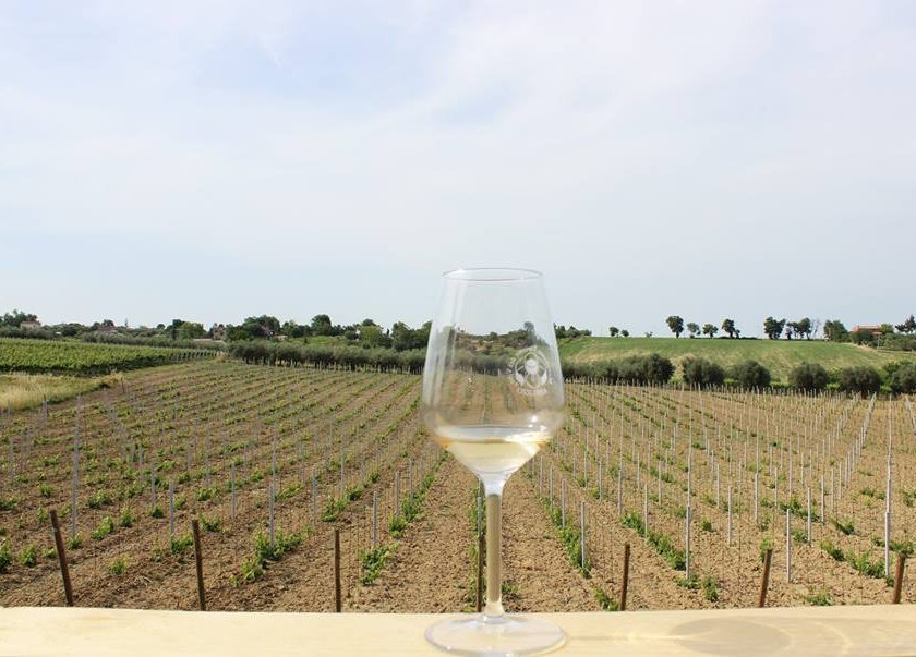 Cantine Aperte a San Martino 2021 in 11 regioni Italia