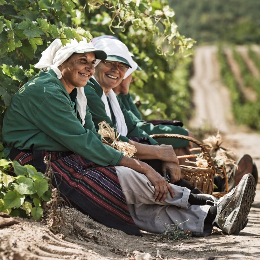 Vranec Vranac World Day 2021 sfide e prospettive per il vino rosso simbolo dei Balcani