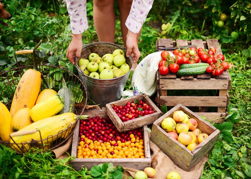 Decreto Pratiche sleali Mipaaf stop vendita agroalimentare sotto ai costi di produzione