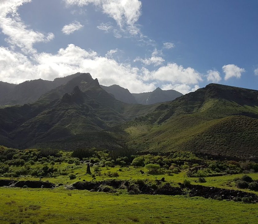 Il caffe delle Isole Canarie 200 anni di storia nella Valle di Agaete di Gran Canaria 1