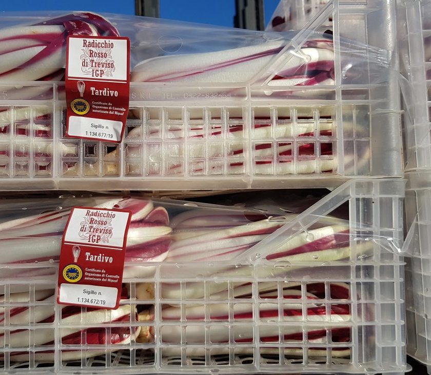 Radicchio Rosso di Treviso Igp primi bollini sul mercato