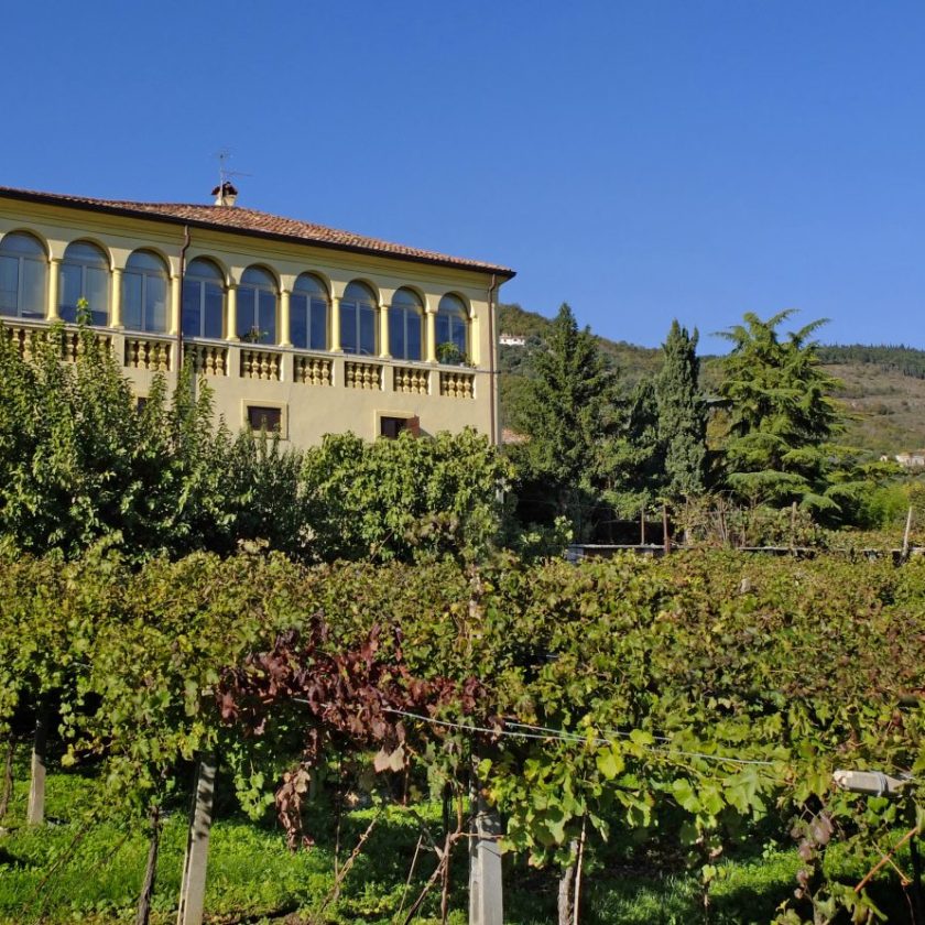 Cantine di Verona approvato il primo bilancio dopo la fusione con Valpantena e Custoza