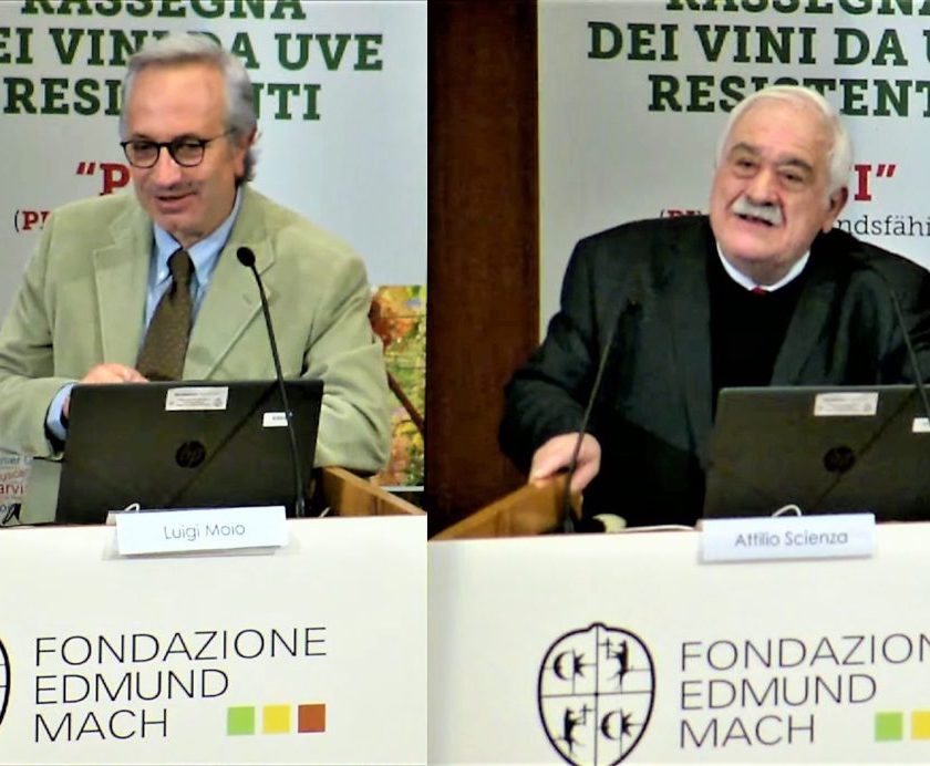 Moio e Scienza Futuro Piwi nelle Dop Ue passa da ricerca terroir ed enologia leggera