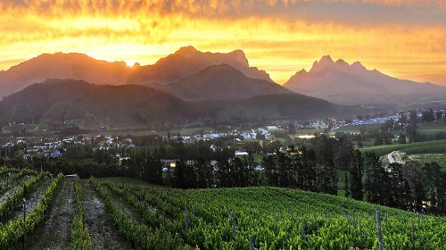 Export Sudafrica salvato dal vino sfuso, ma cresce l'imbottigliato. Exploit dello spumante