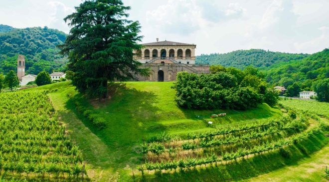 Omicron mette in ginocchio le aziende del vino Dipendenti a casa produzione in stallo