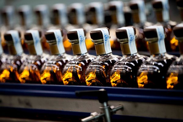Whisky vs Bourbon qual è la differenza com'è fatto whisky Cosa rende un Whisky, Bourbon Come sentire la differenza tra Whisky e Bourbon