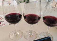 Berliner Wine Trophy 2022, l'Italia sbaraglia la concorrenza con 664 vini a medaglia