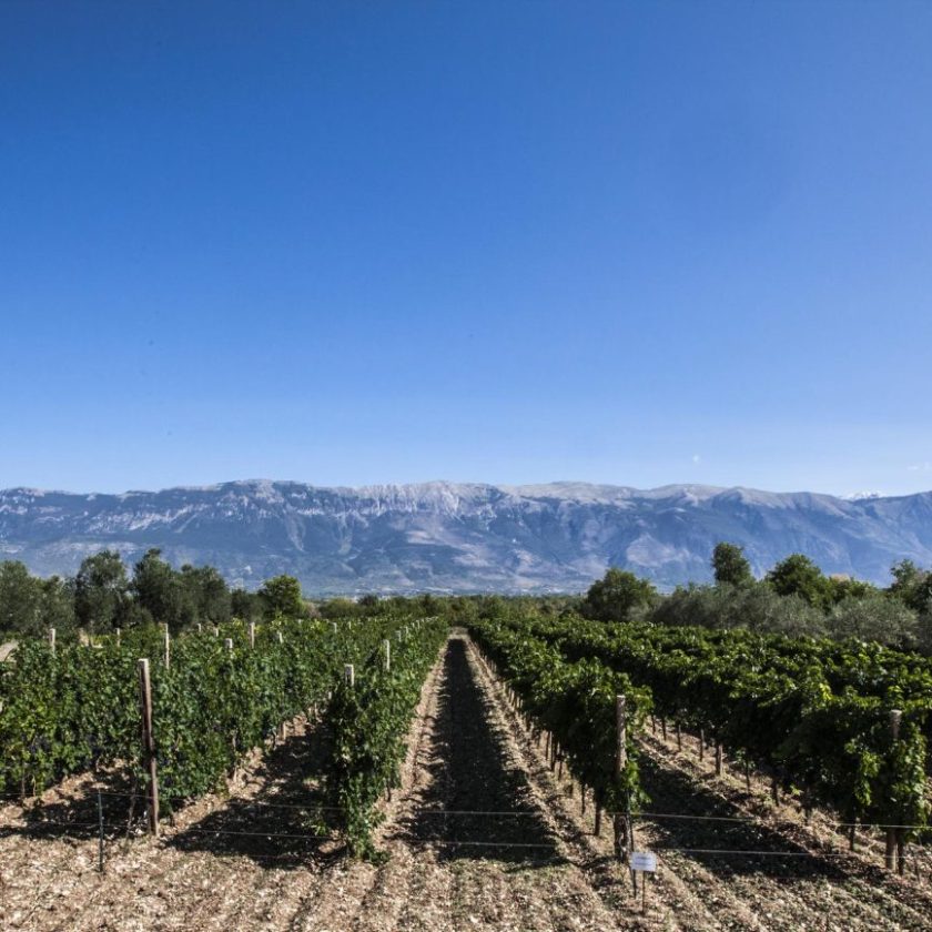 Introdotte le menzioni Abruzzo Doc Superiore per quattro Dop