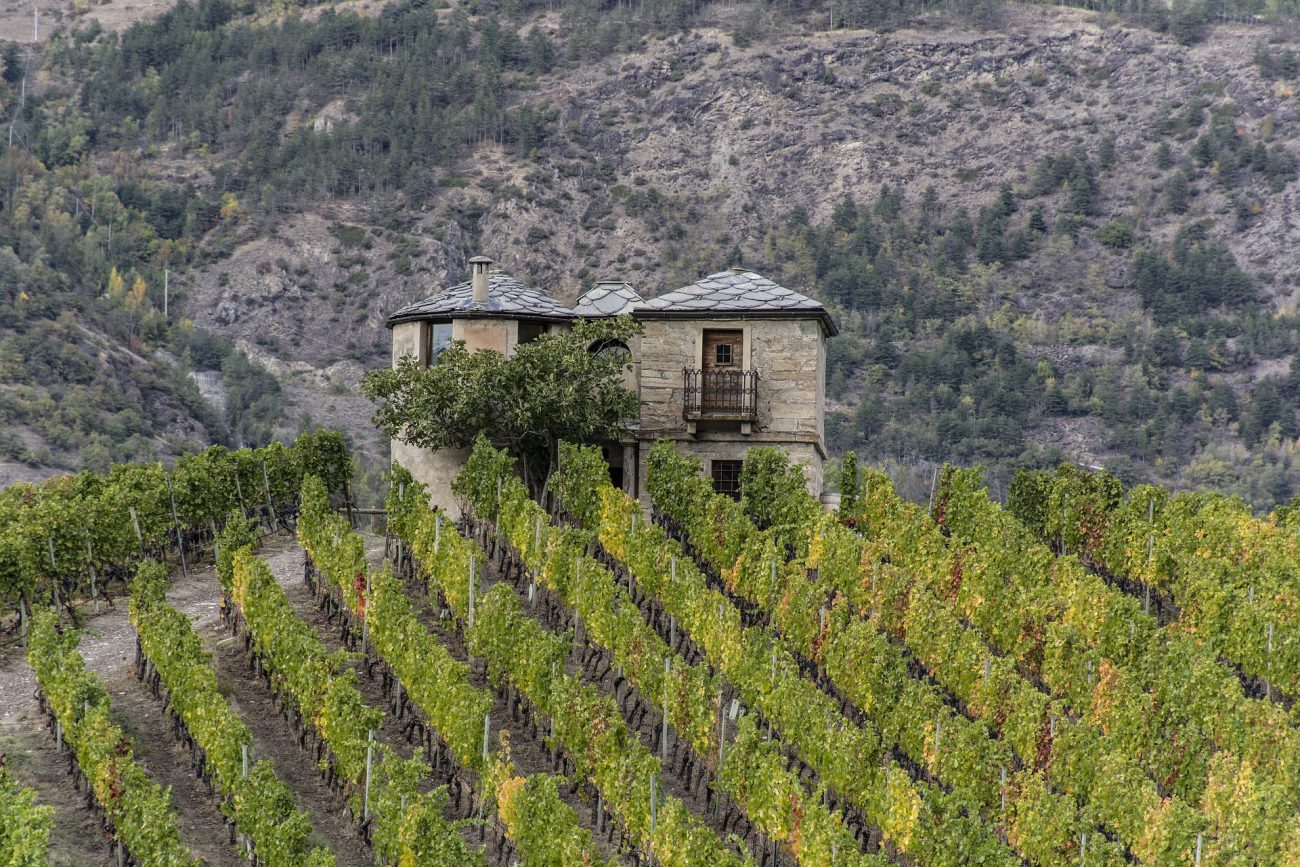 In Valle d'Aosta tra vino e relax: quattro cantine che offrono ospitalità