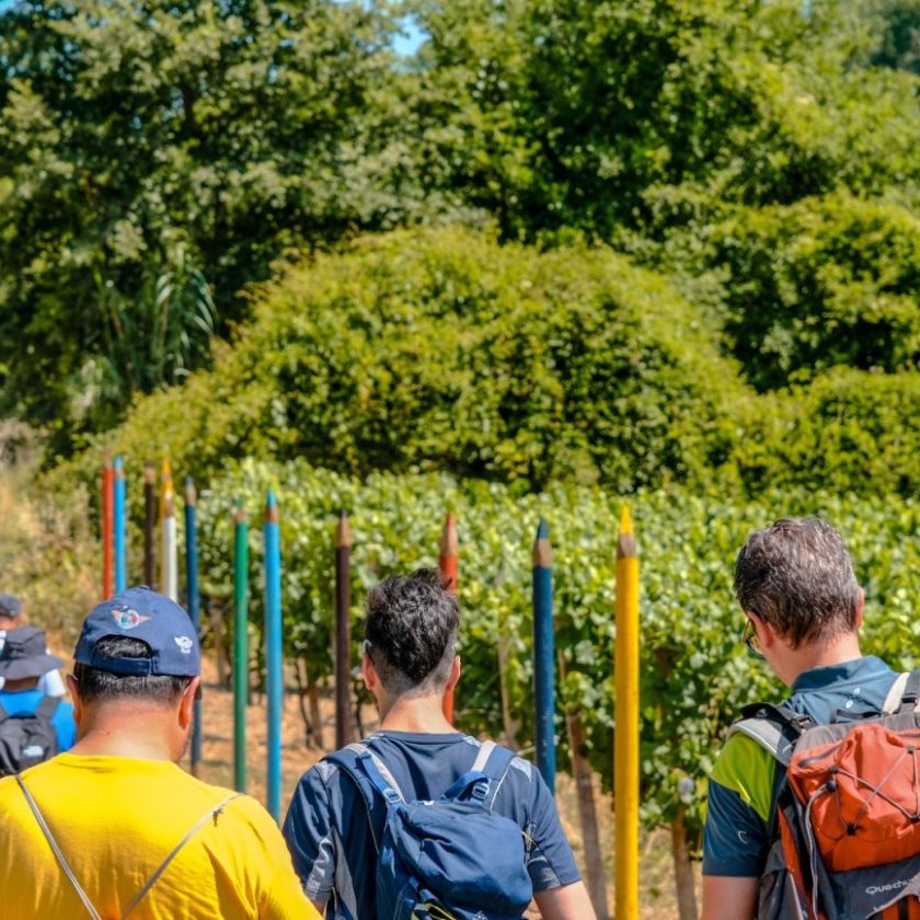 Cantine Aperte 2022 tutto pronto per la festa degli enoturisti movimento turismo del vino