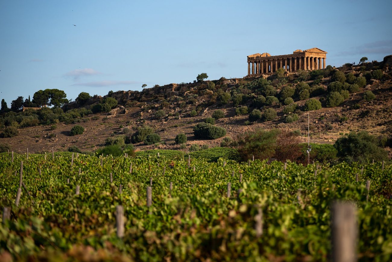Sicilia paradiso dei wine (& food) lovers una cantina su due ha un ristorante, una su tre un albergo