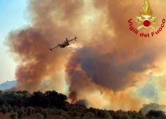 Vigneti Montecucco tra gli incendi, Basile: «Semplificare procedure per gli invasi»