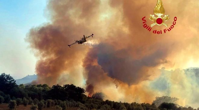 Vigneti Montecucco tra gli incendi, Basile: «Semplificare procedure per gli invasi»
