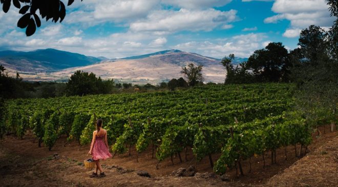 Vini Etna Doc imbottigliato primo semestre 2022 cresce del 30