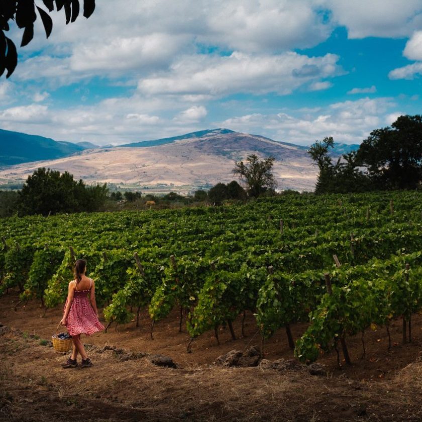 Vini Etna Doc imbottigliato primo semestre 2022 cresce del 30