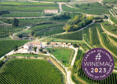 Rubinelli Vajol è Cantina italiana dell anno per la Guida Top 100 Migliori vini italiani 2023 winemag.it valpolicella