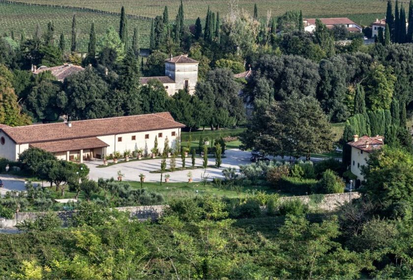 Salvaterra Progetti Agricoli e 4RU si uniscono in Veraison Group Spa edoardo freddi ceo