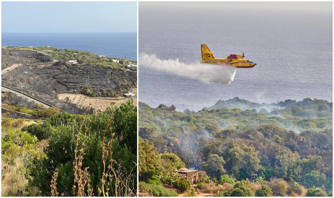 Siccita nubifragi grandine Confagricoltura Gestione del rischio climatico nel futuro agricoltura