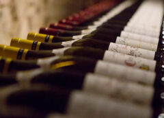 Calano le vendite dei vini della Borgogna nel 2022 giù anche l'export