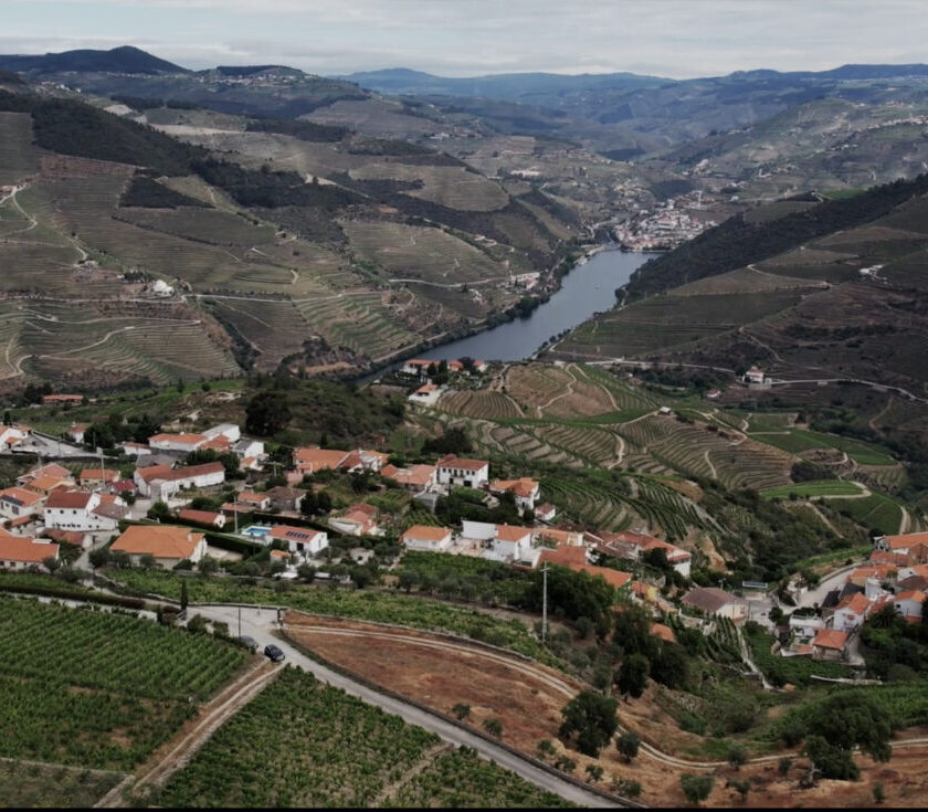 La vendemmia 2022 nella Valle del Douro: «Vini mai così "leggeri". E sarà un grande Porto»