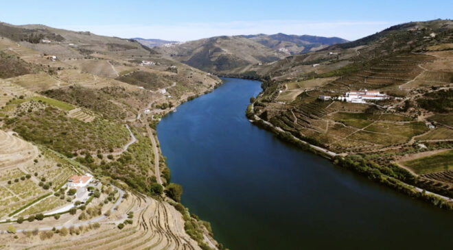 La vendemmia 2022 nella Valle del Douro: «Vini mai così "leggeri". E sarà un grande Porto»