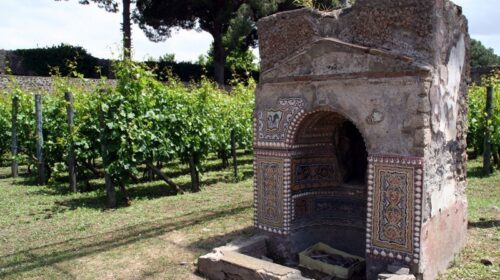 Scavi di Pompei, vigneti abbandonati da 9 mesi. Il nuovo gestore deve produrre vino naturale
