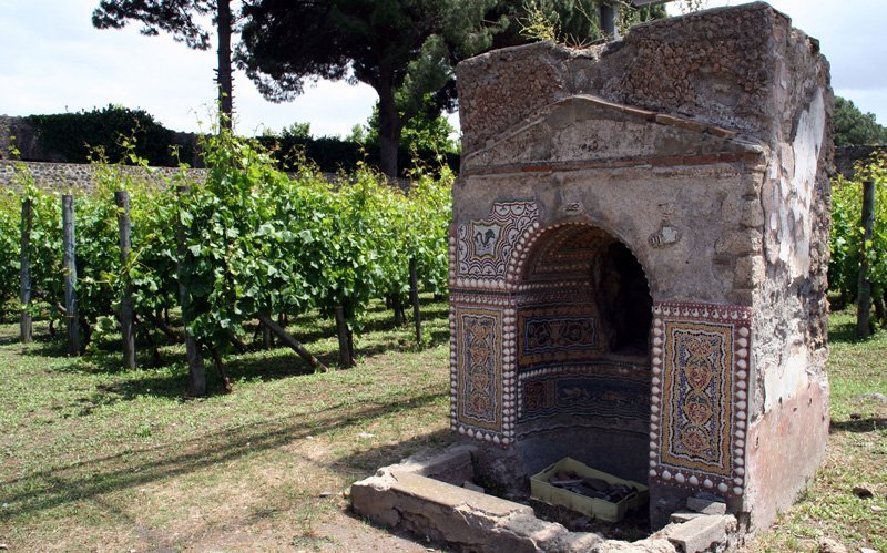 Scavi di Pompei, vigneti abbandonati da 9 mesi. Il nuovo gestore deve produrre vino naturale mastroberardino