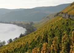 migliori vini da viticoltura eroica al via domani il Mondial des Vins Extrêmes del Cervim distillati Extrêmes Spirits International Contest