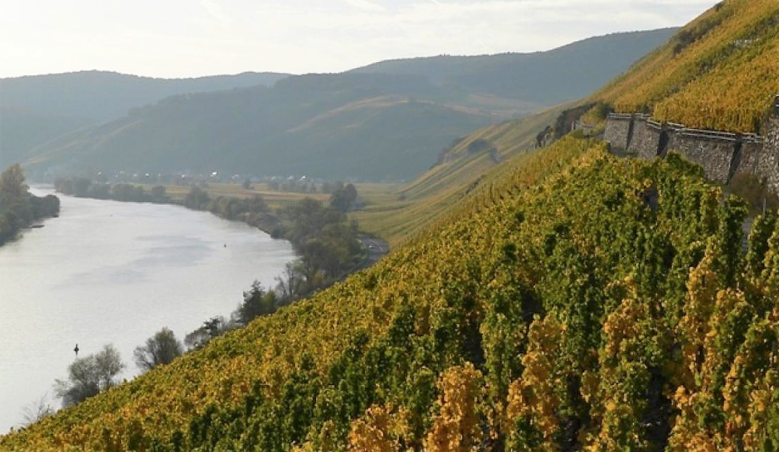 migliori vini da viticoltura eroica al via domani il Mondial des Vins Extrêmes 2022 del Cervim distillati Extrêmes Spirits International Contest