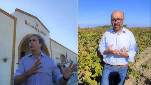 Il futuro del vino Perpetuo lontano da Marsala nella Doc Sicilia renato de bartoli nino barraco