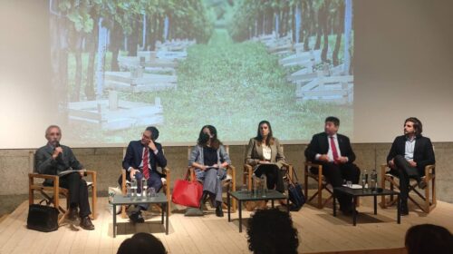 Valpolicella, l'appassimento come Patrimonio Unesco al via la call to action