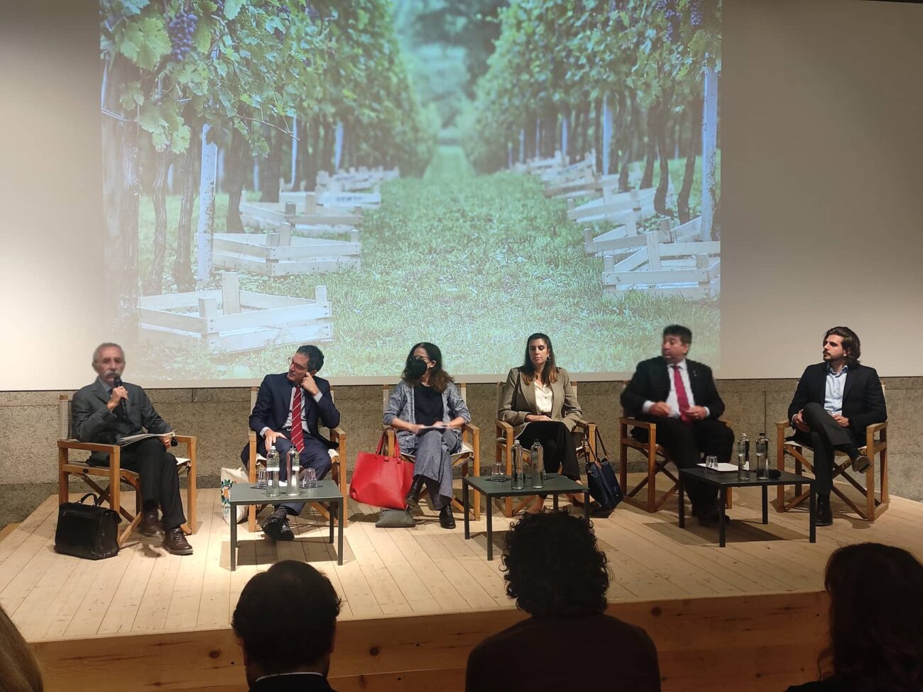 Valpolicella, l'appassimento come Patrimonio Unesco al via la call to action Valpolicella, l'appassimento come Patrimonio Unesco al via la call to action