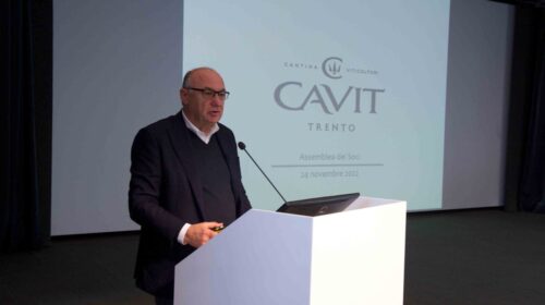 Cavit, consolidamento del fatturato a 264,8 milioni