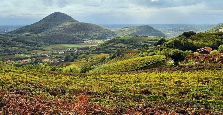 Colli Euganei come Asolo del Prosecco Doc Zanette conferma Trattative aperte tra Consorzi