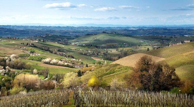 Alta Langa vero fenomeno del metodo classico italiano 597 ettari entro il 2025 1