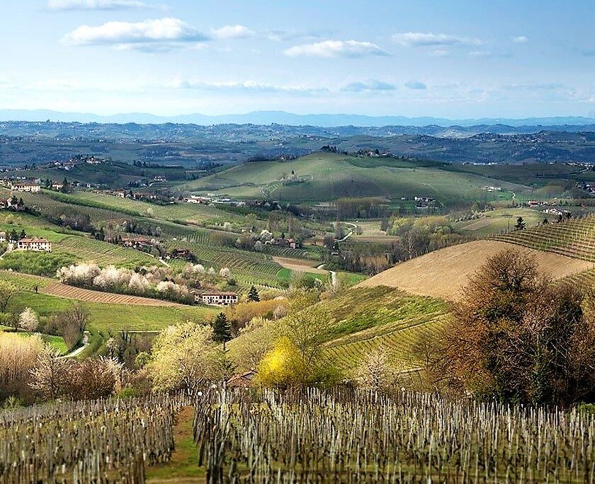 Alta Langa vero fenomeno del metodo classico italiano 597 ettari entro il 2025 1