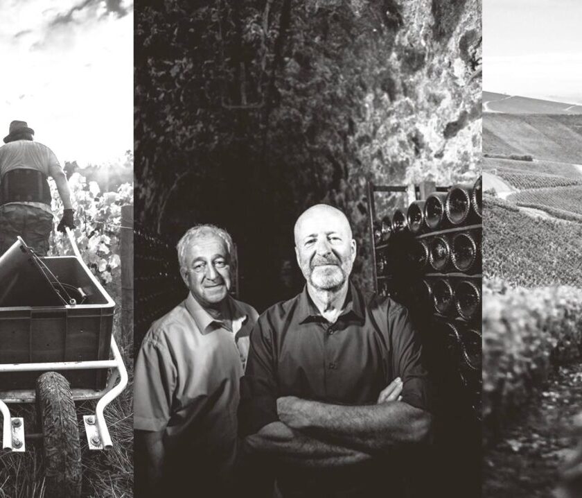 Champagne Jacquesson ceduta ad Artemis Domaines famiglia Pinault