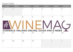 Le wine news del vino italiano in 12 giorni cosa è successo a giugno 2022 in italia winemag